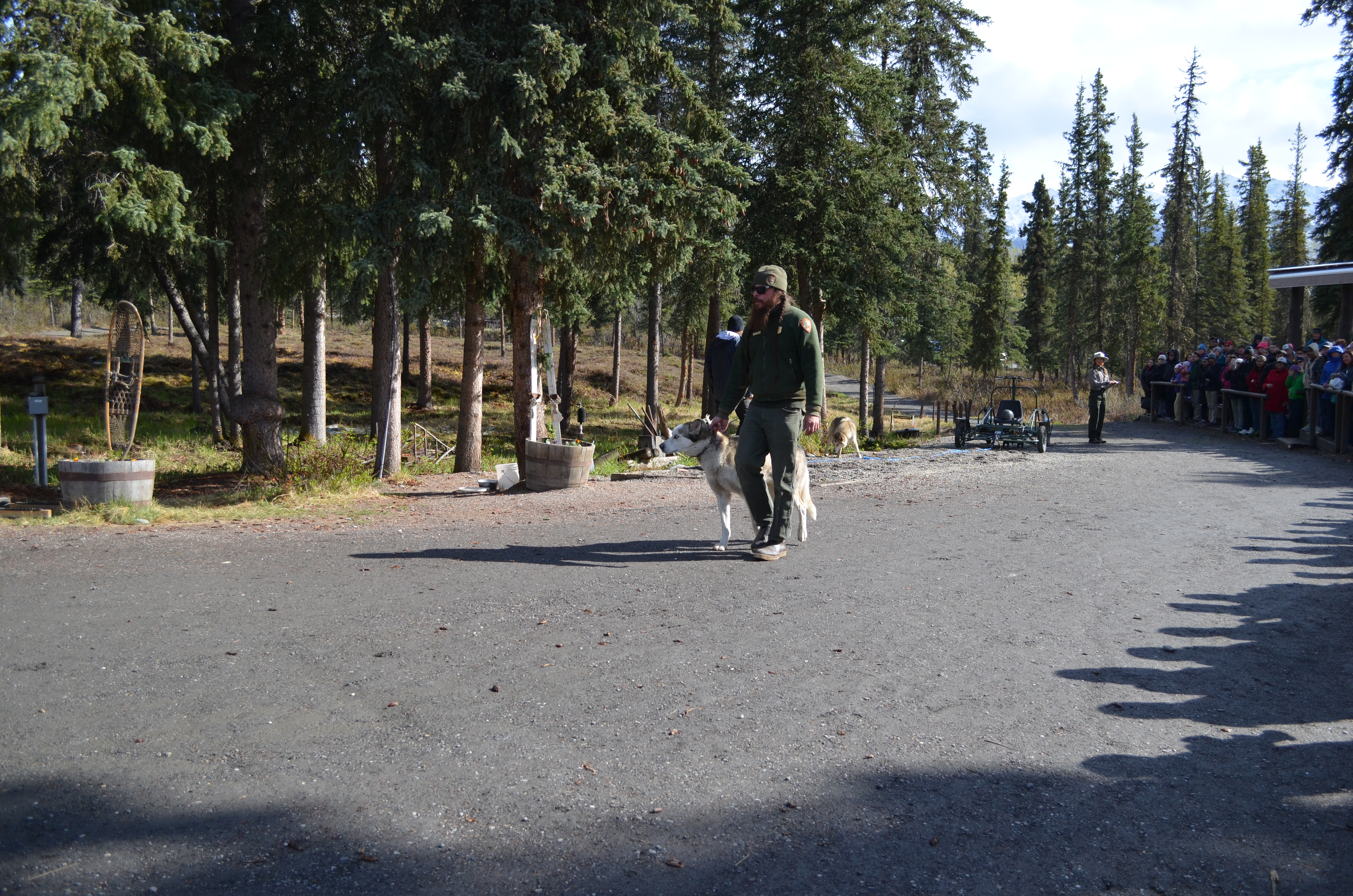 ./2017/08 - Alaska Cruise/03 - Denali/DSC_0273.JPG